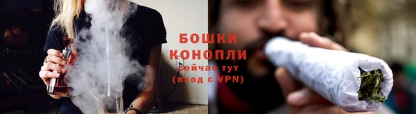 spice Шадринск