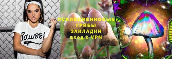 стаф Алексин