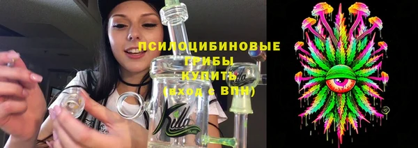 ешки Белокуриха